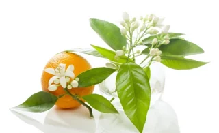 عرق بهارنارنج هلی‌کتی