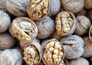 گردو پوست کاغذی